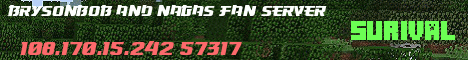 Brysonbob92andNaga2002sFanServer