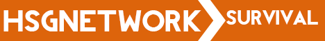 HSG Network