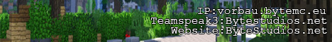 ByteMC Vorbau Server