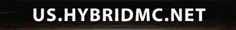 Hybrid Network