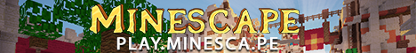 The Minescape Network