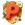 PokeIslandd