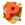 PokeIslandd